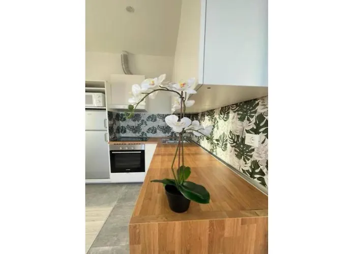 Apartment Comodissimo Gaslini E Mare